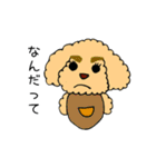 トイプードルさくら（個別スタンプ：28）
