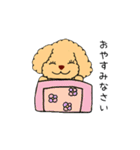トイプードルさくら（個別スタンプ：30）