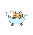 トイプードルさくら（個別スタンプ：35）