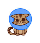 HuMo's life（個別スタンプ：21）