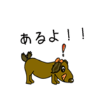 毎日犬（個別スタンプ：6）