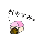 毎日犬（個別スタンプ：11）