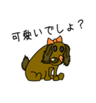 毎日犬（個別スタンプ：14）