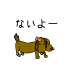 毎日犬（個別スタンプ：18）