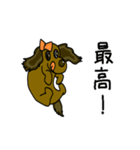 毎日犬（個別スタンプ：33）