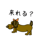 毎日犬（個別スタンプ：39）