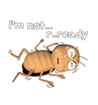 Peter (cockroach)（個別スタンプ：21）