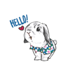 Electron Bunny（個別スタンプ：1）