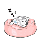 Electron Bunny（個別スタンプ：12）