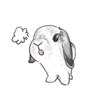 Electron Bunny（個別スタンプ：15）