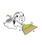 Electron Bunny（個別スタンプ：24）