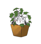 Electron Bunny（個別スタンプ：27）