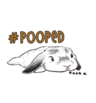 Electron Bunny（個別スタンプ：34）