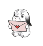 Electron Bunny（個別スタンプ：37）