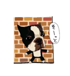 ボストンテリア同好会2（個別スタンプ：4）
