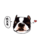 ボストンテリア同好会2（個別スタンプ：10）