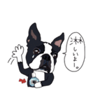 ボストンテリア同好会2（個別スタンプ：26）