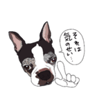 ボストンテリア同好会2（個別スタンプ：28）