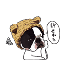 ボストンテリア同好会2（個別スタンプ：29）