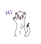 Cute white mink（個別スタンプ：1）