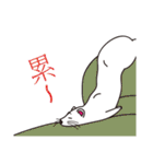 Cute white mink（個別スタンプ：5）