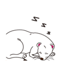 Cute white mink（個別スタンプ：6）