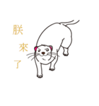 Cute white mink（個別スタンプ：8）