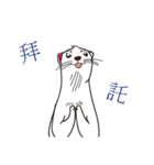 Cute white mink（個別スタンプ：10）