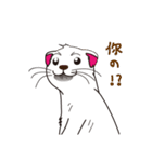Cute white mink（個別スタンプ：15）