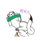Cute white mink（個別スタンプ：18）