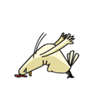 Handsome of chicken（個別スタンプ：32）