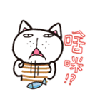 Frank stripe cat（個別スタンプ：8）