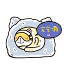 Frank stripe cat（個別スタンプ：11）