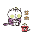 Frank stripe cat（個別スタンプ：19）