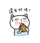 Frank stripe cat（個別スタンプ：23）