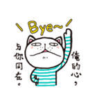 Frank stripe cat（個別スタンプ：40）