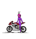 BunnyGirlRacing（個別スタンプ：28）