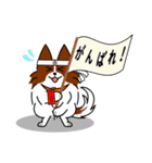 モフ犬ごんべえ（個別スタンプ：24）