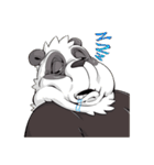 Panda-DOHS（個別スタンプ：6）