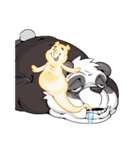 Panda-DOHS（個別スタンプ：18）