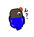 青ボタンインコスタンプ2（個別スタンプ：2）
