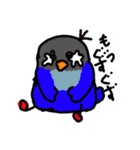 青ボタンインコスタンプ2（個別スタンプ：3）