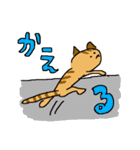 許せるこねこ（個別スタンプ：10）