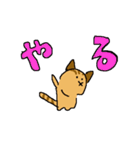 許せるこねこ（個別スタンプ：13）