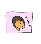 許せるこねこ（個別スタンプ：15）