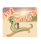 東濃の癒しアニマル（個別スタンプ：5）