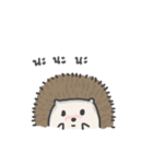 A Little Hedgehog（個別スタンプ：4）