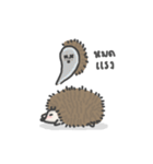 A Little Hedgehog（個別スタンプ：27）