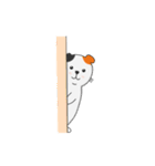 Kucing Jenius（個別スタンプ：2）