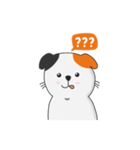 Kucing Jenius（個別スタンプ：10）